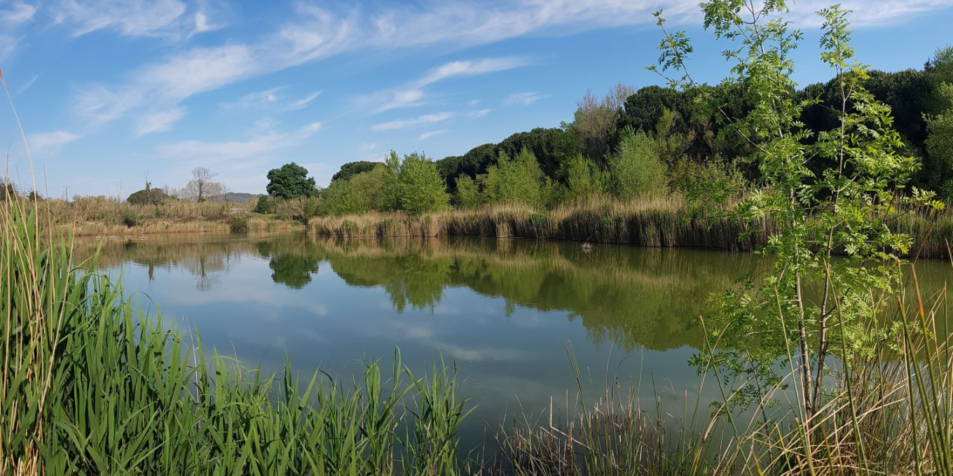 Nouvelle formation civique et citoyenne les 3 et 4 juillet 2025 dans le Var : Protège la biodiversité des zones humides